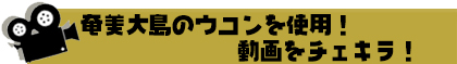 奄美大島のウコンを使用！
