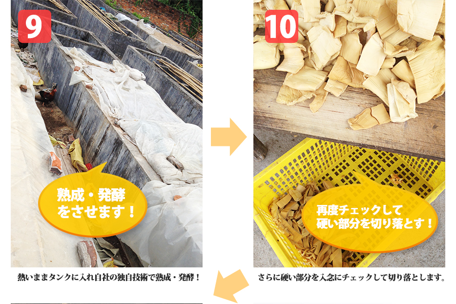 9.熱いままタンクに入れ自社の独自技術で熟成・発酵！10.さらに硬い部分を入念にチェックして切り落とします。