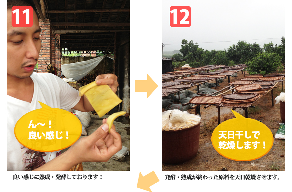 11.良い感じに熟成・発酵しております！12.発酵・熟成が終わった原料を天日乾燥させます。